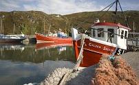 Colourful fishing boats in harbour