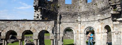 Mellifont Abbey ruins