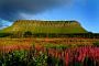 90x60_ben_bulben_sligo