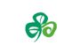 Tourism Ireland shamrock logo