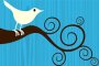 Twitter bird illustration