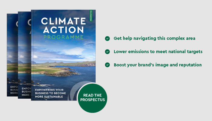 Graphic of the climate action guide