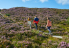 100x70-ridge-of-capard-slieve-bloom-co-laois