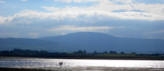 230x100 People-walking-Strandhill-beach