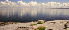 230x100 TheBurren