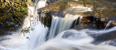 230x100 Clare-Glens,-Limerick WAWLanding