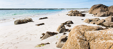 230x100 Galway WAWLanding