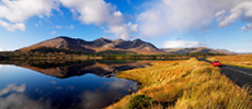 230x100 Connemara