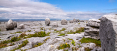 300x100 Burren Landscape