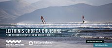 310x120 Dingle-VEDP-Irish