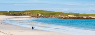 320x120 Dog-s-Bay-Beach