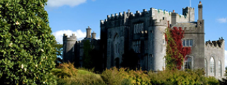 320x120 Historic-House