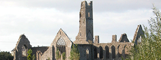 320x120 Limerick Ruin