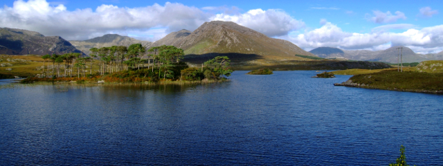 640x240-pine-island-connemara 1