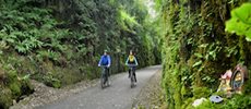 310-120-Waterford-Greenway-6 master