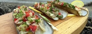 Clams 320x120
