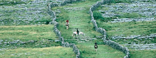 320x120 WAW South Culture