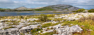 320x120 TheBurren