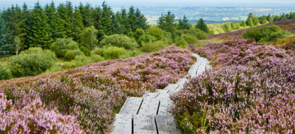 €5.5million announced for 17 Regenerative Tourism Projects across the Midlands, under Fáilte Ireland