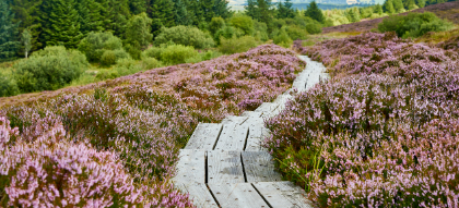 Fáilte Ireland Funding Scheme for regenerative tourism projects in Midlands opens today  