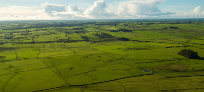 Táin Trail Route to be reimagined by Fáilte Ireland