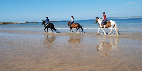 Three horseriders on a beach