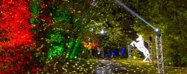 600240-wonderlights-malahide-castle-co-dublin