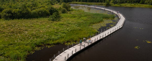 600x240-acres-lake-boardwalk-co-leitrim