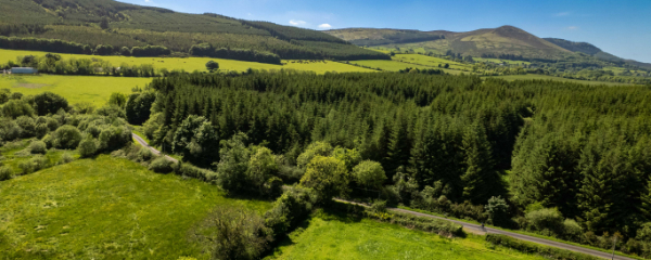 600x240-ballyorgan-mountain-cycling-route-co-limerick
