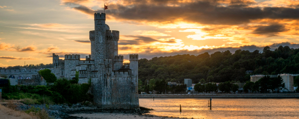 600x240-blackrock-castle-cork