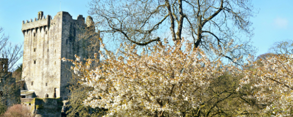 600x240-blarney-castle-co-cork-(2)