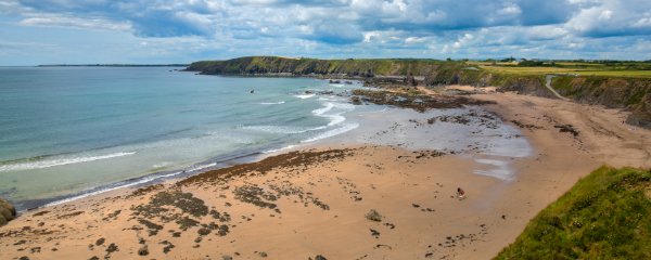 600x240-carnivan-bay-co-wexford