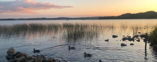 600x240-dusk-dromud-marina-shannon-erne-waterway-co-leitrim
