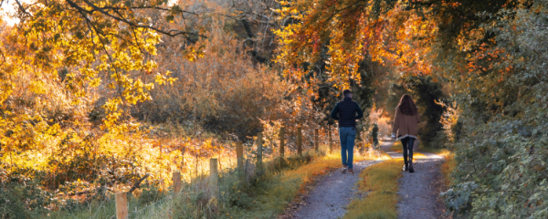 600x240-forest-walk-hodson-bay-hotel-co-roscommon