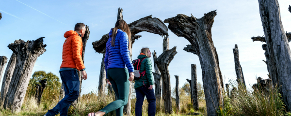 600x240-lough-boora-discovery-park-tullamore-co-offaly 1