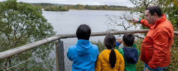 600x240-lough-key-forest-and-activity-park-tree-canopy-walk-co-roscommon