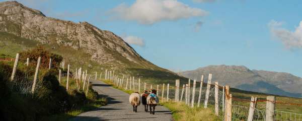 600x240 Inagh-Valley-and-12-Bens-Mountains,Connemara,-Co-Galway
