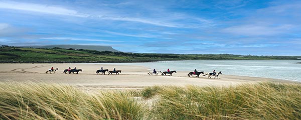 640x240-Horses-on-beach