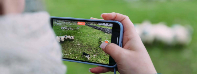 640x240 Caherconnell,-Stone-Fort-and-Sheepdog-Demonstrations,-Co-Clare TI7XL3-2