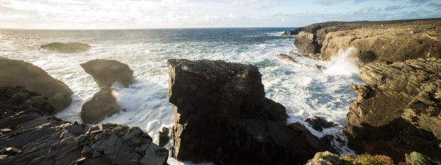 DRAFT-Natura-Impact-Statement-Wild-Mayo-DEDP