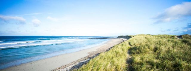 DRAFT-SEA-Environmental-Report-Wild-Mayo-DEDP