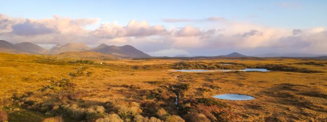 Fernwood-Site,-Fernwood-Farm,-24-11-2021