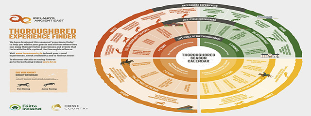 Thoroughbred-Experience-Finder-Widget-Image-copy