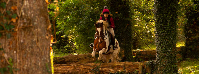 Tipperary-Equestrian