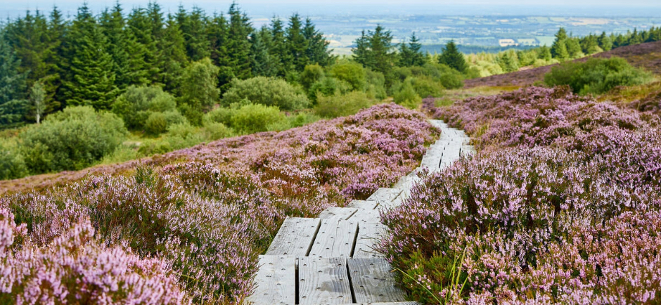 €5.5million announced for 17 Regenerative Tourism Projects across the Midlands, under Fáilte Ireland