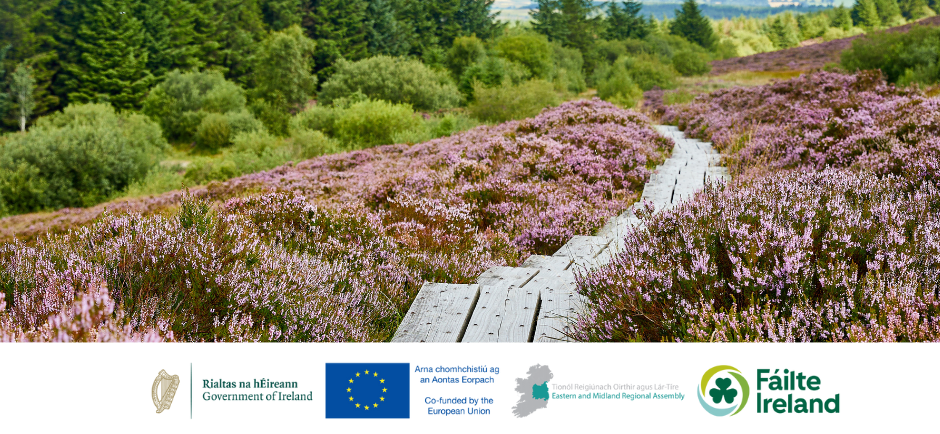 Fáilte Ireland Funding Scheme for regenerative tourism projects in Midlands opens today  