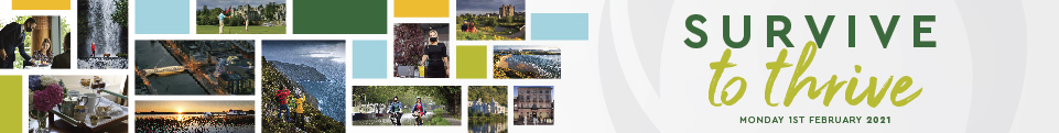 'Survive to Thrive' Virtual Industry Event