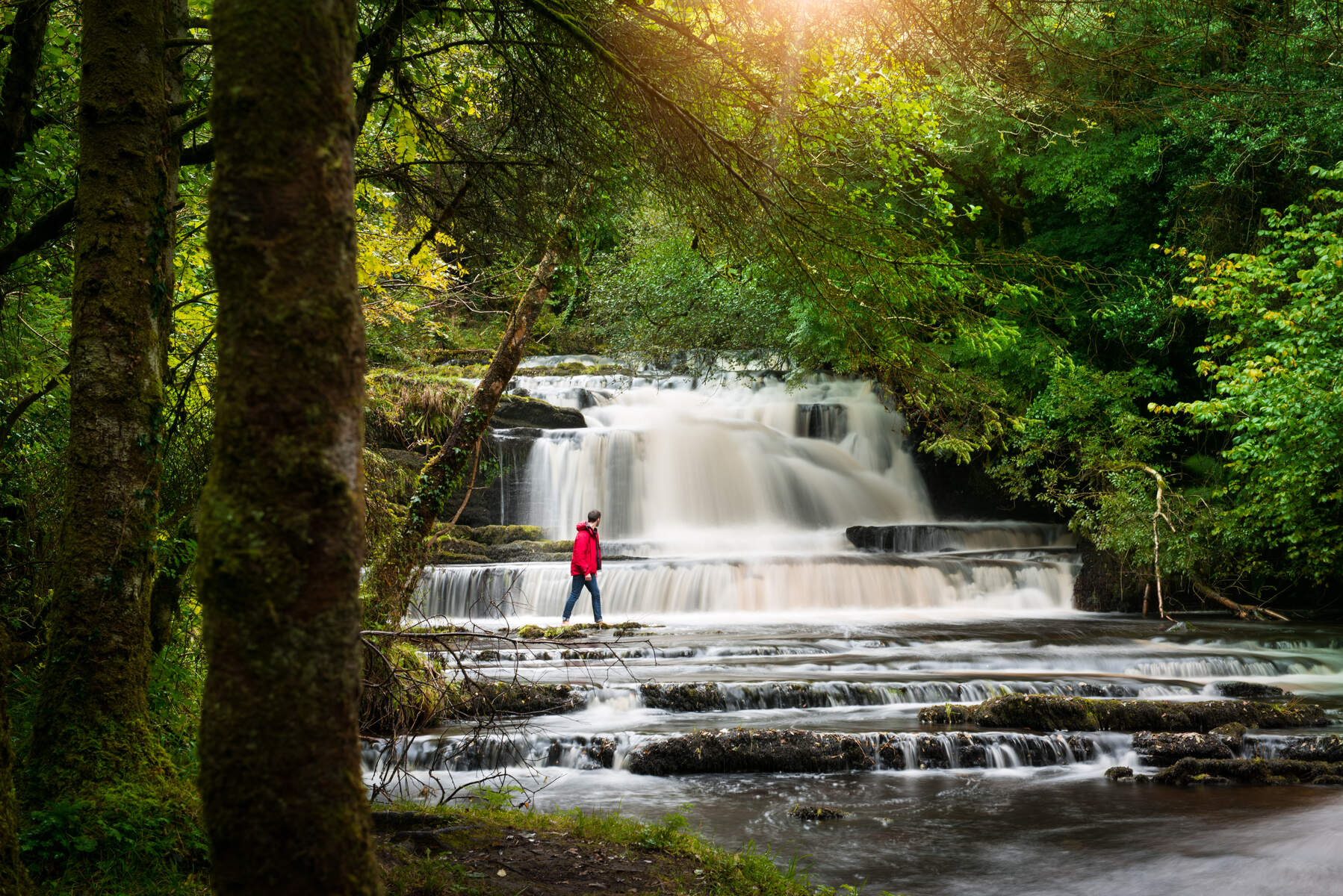 Ireland's Hidden Heartlands Background