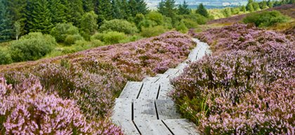 First tourism projects awarded €2.9million under Private and Community SME Scheme announced